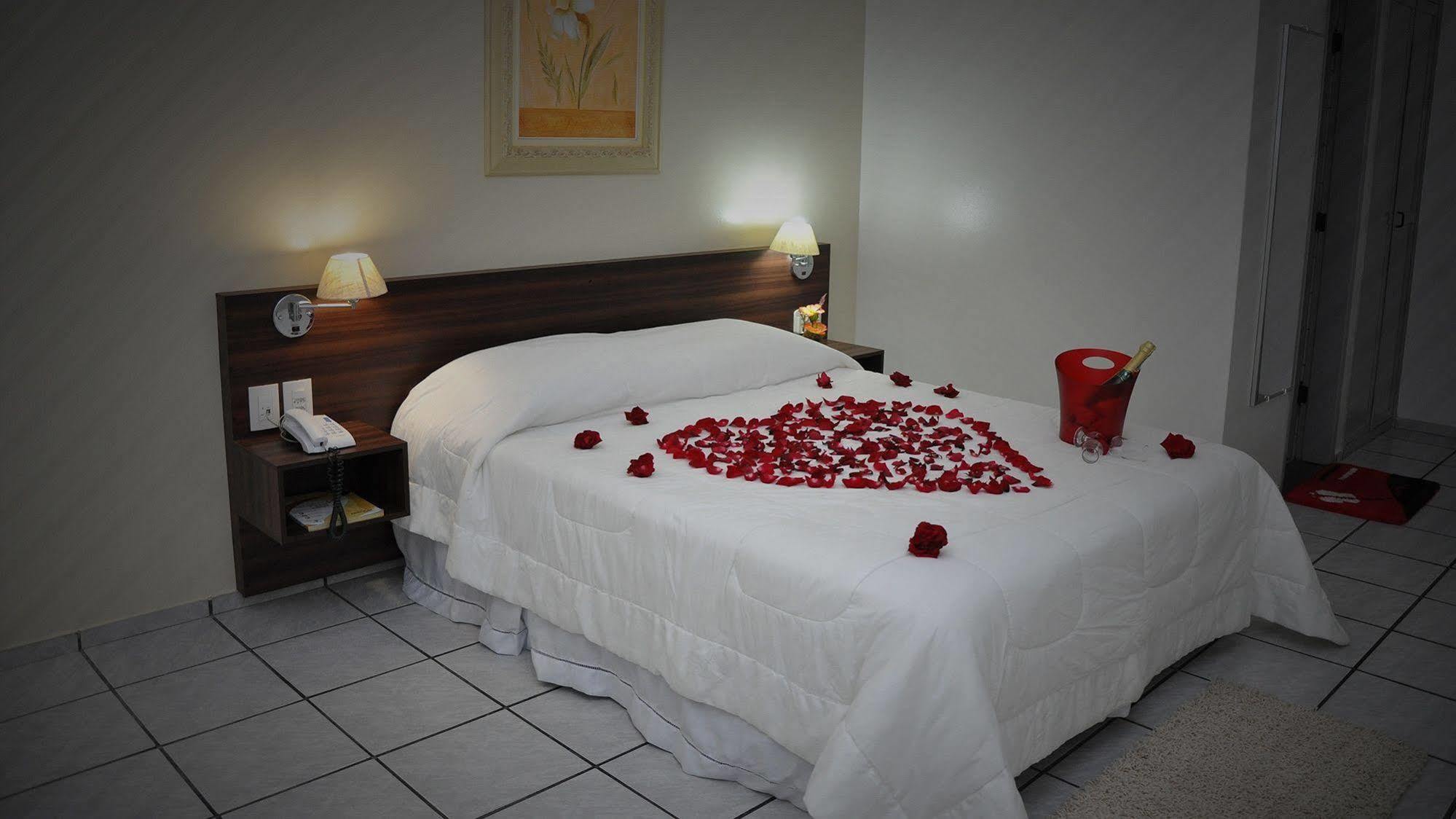 Hotel Rekinte 阿拉卡茹 外观 照片
